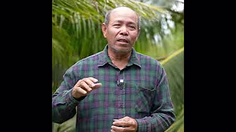 វីដេអូខ្លីៗ