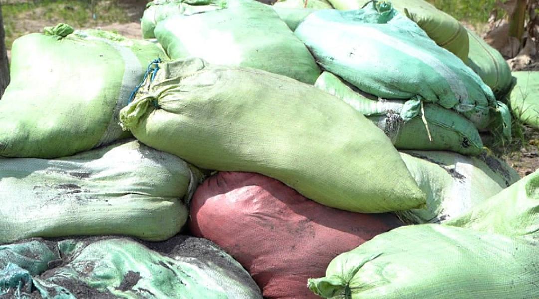 ជីធម្មជាតិតម្លៃជាង២ម៉ឺនដុល្លារត្រៀមសម្រាប់ការដាំម្ទេសជាង ៣០ហិកតា ក្នុងភូមិប៊ុនរ៉ានីសែនជ័យដំណាក់ទ្រយឹង - Image 6